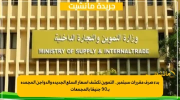 بدء صرف مقررات سبتمبر.. التموين تكشف أسعار السلع الجديدة والدواجن المجمدة بـ90 جنيهًا بالمجمعات 1